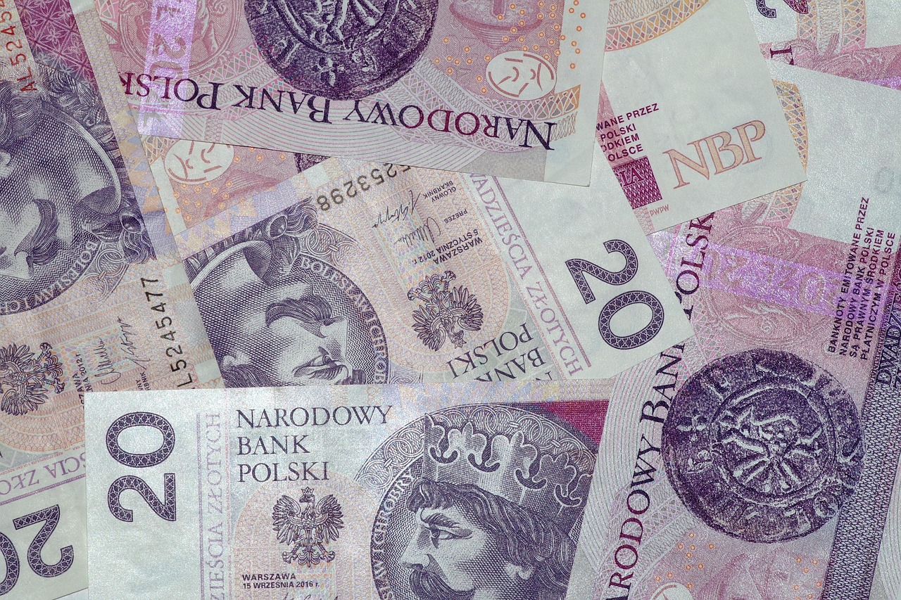 money, banknotes, savings, finances, bills, cash, currency, investments, loan, price, invest, wealth